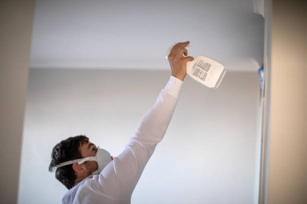 Best Water Damage Restoration  in Apison, TN