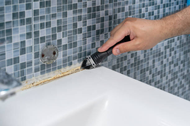 Best Fast Mold Removal  in Apison, TN
