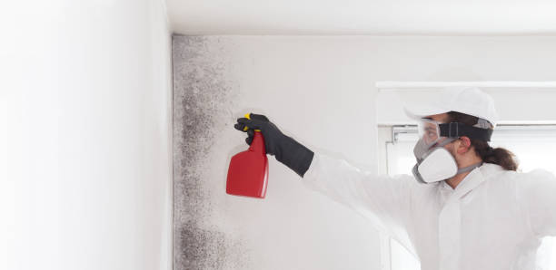 Best Professional Mold Removal  in Apison, TN